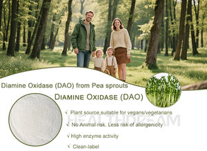 Estratto di germoglio naturale di pisello di diammina ossidasi (DAO) enzima in polvere ad alta attività | Supporto antistaminico | OEM e fornitura di massa - Product Image 2