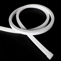 Bande lumineuse néon LED en silicone RGB à émission supérieure de 1616 mm, DC24V, étanche IP67, USB, pour extérieur et aménagement paysager
