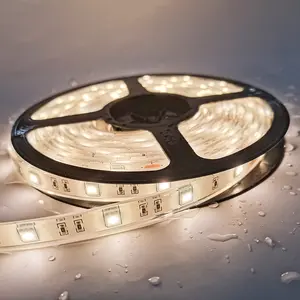 3 Years Warranty Led Strip/rope Light 5050 254nm Uv Led Strip Lighting