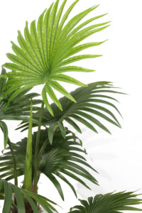 Palma artificiale Nordic Style Real Touch con supporto, bonsai, 130 cm/90 cm, 7 foglie verdi, ecologica, durata 10 anni - Product Image 4