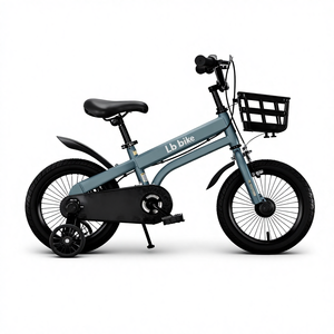 Vélo pour enfant de 12, 14, 16, 18 pouces avec roues d'apprentissage, cadre en acier à haute teneur en carbone, pneus <span class=keywords><strong>AVA</strong></span> larges, selle souple, rayons de 14 mm, paniers, garde-boue - Product Image 6