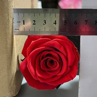 Rose unique naturelle préservée de haute qualité, faite à la main, véritable, longue durée, immortelle, éternelle, roses préservées avec tige