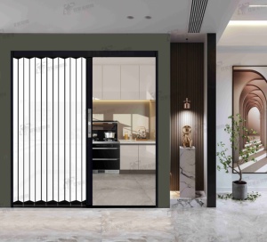 <span class=keywords><strong>Puerta</strong></span> mosquitera plegable con placa de cristal esmerilado, elegante solución a prueba de mosquitos <span class=keywords><strong>para</strong></span> el hogar - Product Image 4
