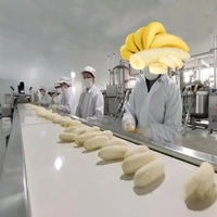 Nieuwe Technologie Bananenpoeder Verwerkingsmachine Bananenpuree Poeder Droogmachine