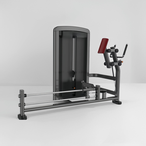 Appareil de musculation professionnel en acier pour les bras, à résistance réglable, pour clubs de fitness - Product Image 2