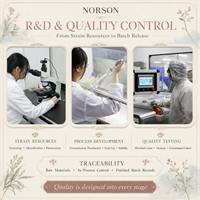 Additifs alimentaires de qualité alimentaire, poudre probiotique, service OEM, certifié GMP, approvisionnement en vrac