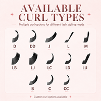 Plateaux d'extensions de cils en fibre PBT coréenne pour cils en soie, Premium Ultra-Noir Volume, 0.03 0.05 0.07, Vente en gros, 8-15mm