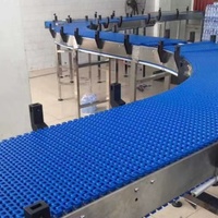 Op maat gemaakt modulair bandtransportsysteem voor fruit- en groenteverwerkingslijnen