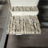 Panneaux sandwich en mousse PU métallique pour murs extérieurs d'hôtels modernes, résistants au feu, légers et isolants pour maisons préfabriquées