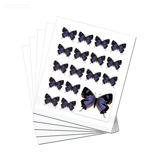 Etiquetas Permanentes Personalizadas al por Mayor para Envíos Postales, Colección Hairstreak Colorado 2021, Impresión en Papel, Venta al por Mayor en EE. UU. - Product Image 4