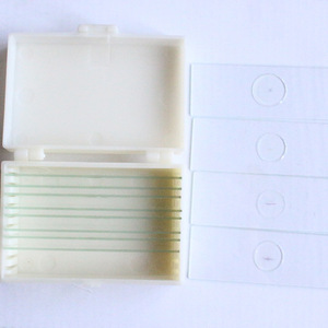 การสอนตัวอย่างที่มีโครงสร้างที่ชัดเจนรวมถึงส่วนของ * Polygonum aviculare *, antheridium และ archegonium. - Product Image 1