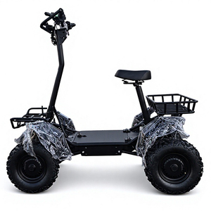 Scooter électrique tout-terrain léger, design pliable, 4000W, <span class=keywords><strong>quad</strong></span> électrique 4x4, scooter électrique avec batterie amovible - Product Image 4