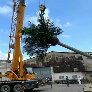 Hot Selling Camouflaged Palm Tree 5G Antenna Artifical Tower