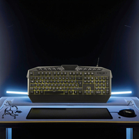 Ensemble clavier et souris de jeu filaire professionnel avec rétroéclairage RGB, clavier multimédia haut de gamme étanche, souris de précision 1600 DPI