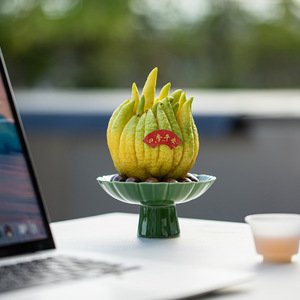 Plato de Cerámica para Frutas con Forma de Flor, Plato de Porcelana Estilo Chino para Té y Aperitivos, Diseño Zen Retro - Product Image 4