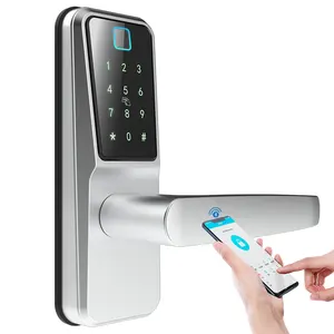 European French Home Security Deadbolt Keyless Entry Key Card aluminum alloy Iron wooden Door Lock Turkey