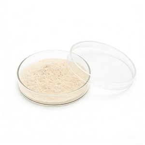 Starter de bactéries lactiques probiotiques (Lactobacillus Plantarum Core) certifié ISO9001, auxiliaire de fermentation industrielle, Chine - Product Image 3