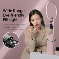 Anneau Lumineux de Diffusion en Direct Pliable et Rechargeable de 193 cm, Mini, Portable, 10 Pouces, Température de Couleur Réglable, Personnalisable