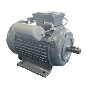 Yl8024 750W 220V 110v B3 1400 vòng/phút IP44/54 động cơ AC không đồng bộ một pha tụ kép - Product Image 5