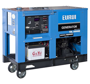 12kw小型ディーゼル発電機日本EURUI TDL16000E水冷Genset 50HZ 220Vブラシレス単相12KVAディーゼル発電機 - Product Image 4