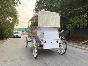 Luxury Zhenda Electric 6-Person Solid Rubber Tires Horse Carriage for Sightseeing-Best-selling - Product Image 5