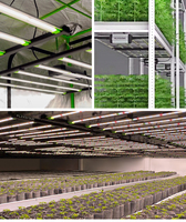 Controlador Inteligente Atenuable con Certificación DLC ETL CE, Tubo de Luz LED para Cultivo de 430W 2X4, Samsung 2 Pies