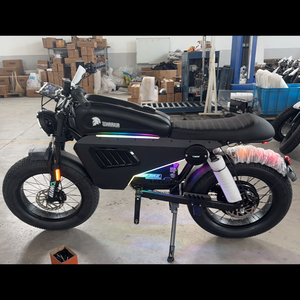 Potente Motocicleta Todoterreno para Adultos de 3000w, Batería de Litio, Motor sin Escobillas, Cuadro de Aluminio, Frenos de Disco Hidráulicos, Sk-1 Ultra - Product Image 5