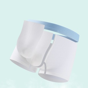 Bóxers para niños, pantalones cortos cómodos medianos y grandes, bragas baratas para niños y bebés, ropa interior transpirable para niños superventas - Product Image 4