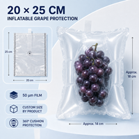 Sac de transport isotherme gonflable pour raisins, avec cellules d'air protectrices, anti-condensation et préservation de la fraîcheur