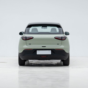 2025 pour Geome Star Wish Série 310km Véhicule électrique SUV 4 portes 5 places avec batterie 30-50 kWh - Voiture écologique pour usage quotidien - Product Image 3