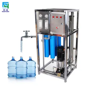 Comercial 250 LPH Sistema Ro de acero inoxidable Equipo de tratamiento de agua pura Planta de tratamiento de agua