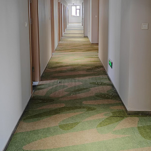 Tùy Chỉnh Độ Nét Cao In Chống Cháy Thảm Có Thể Giặt Đầy Đủ Tường Để Tường 100% Nylon Thảm Cho Khách Sạn Hành Lang Phòng - Product Image 4