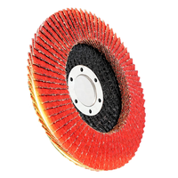 Disque abrasif à grain 40/60/80/120, haute dureté, support en fibre de verre, disque à lamelles en céramique, diamètre 100 mm, pour le meulage de l'acier inoxydable