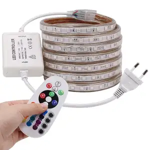 110VAC 220VAC Outdoor Met Afstandsbediening Voor Home Verlichting Commerciële Verlichting 100M Per Rol Rgb Led Strip Led Tape licht