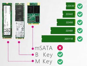 SK6 Server <span class=keywords><strong>M</strong></span>.<span class=keywords><strong>2</strong></span> NVMe SSD NGFF naar PCIe X4 Adapter <span class=keywords><strong>M</strong></span> Key B Key Dual Add-on Card Ondersteunt PCI Express 3.0 2230-22110 Alle <span class=keywords><strong>M</strong></span>.<span class=keywords><strong>2</strong></span> Formaten - Product Image 6