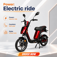 Moto électrique EEC 350W 48V 12Ah avec batterie au plomb amovible, autonomie 45 km, roue de 18 pouces, frein à disque hydraulique, écran LCD intelligent