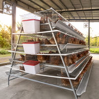 Cages d'élevage de poulets de type A Livi à 3 niveaux pour 96 poulets, cages à poules pondeuses pour ferme avicole