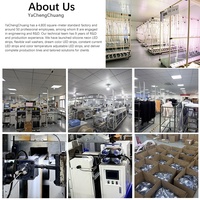 Bande LED Flexible en Cuivre 24V 24W de Qualité Industrielle, Étanche pour Extérieur, Haute Réalité des Couleurs (CRI 90), Plusieurs Couleurs Disponibles pour Aménagement Paysager