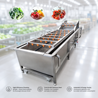 Industriële ozonbelreinigingsmachine voor fruit en groenten, aardappel, tomaat, ananas, hogedrukreinigingsmachine met transportband