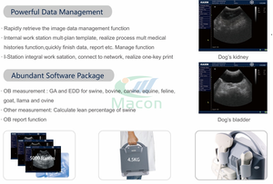 MC200vet Scanner à ultrasons <span class=keywords><strong>portable</strong></span> le plus populaire pour mesurer la gravité, les reins et la vessie du chien - Product Image 3