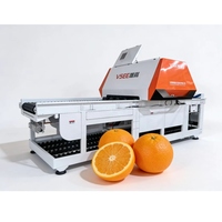Fruitkalibreer- en sorteermachine voor citrusvruchten en appels
