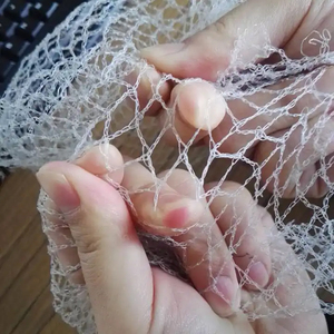 Red Antipájaros de Plástico PE Sin Nudos, Red para Protección de Jardines, Más Vendida - Product Image 5