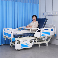 JUNLAOLE Multifunktionales Elektrisches Stehbett, Rehabilitations-Pflegebett, Anti-Dekubitus Luftmatratze für Ältere Patienten im Krankenhaus