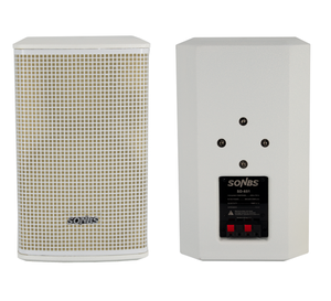 Hệ Thống Âm Thanh Hội Nghị Tần Số Đầy Đủ Cao Cấp Âm Thanh Loa Gắn Tường Ngoài Trời Mini Pa Mỏng Công Suất Cao Hỗ Trợ - Product Image 2