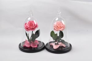 कांच के गुंबद में संरक्षित होमोरा गर्म बिक्री के लिए एक ग्रेड वास्तविक स्पर्श गुलाब वेलेंटाइन के दिन लड़की दोस्त के लिए कभी नहीं गुलाब - Product Image 3