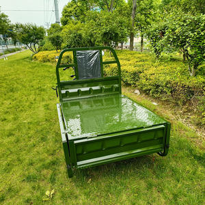 Tricycles électriques de cargaison de l'Europe COC EEC grande taille 1000W 2000W adulte 3 trois vélos livraison de cargaison - Product Image 6