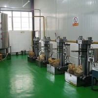 Presse à huile hydraulique à bas prix pour usage commercial, pour olive, avocat, sésame, beurre de cacao, extraction à froid, haute qualité