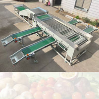 Hoge Kwaliteit Automatische Fruit- en Groente Sorteermachine Commerciële Ui Sorteermachine 304 RVS 2-10 Ton Capaciteit