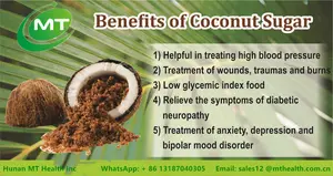 Kokosnuss blüten zucker ISO Kostenlose Probe Hochwertige reine Natur Bio-Kokosnussblüten-Zucker pulver Lebensmittel zusatz geschmack
