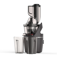 Hoogrenderende Elektrische Kauwmachine Slow Juicer Hot Sale Multifunctionele Ananas Appelwortelsapmaker